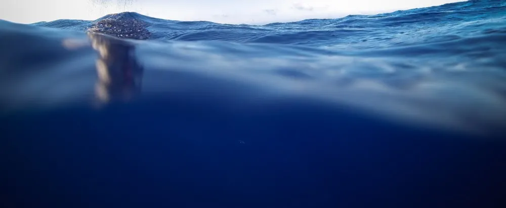 The Ocean - Global Ocean Monitoring and Observing