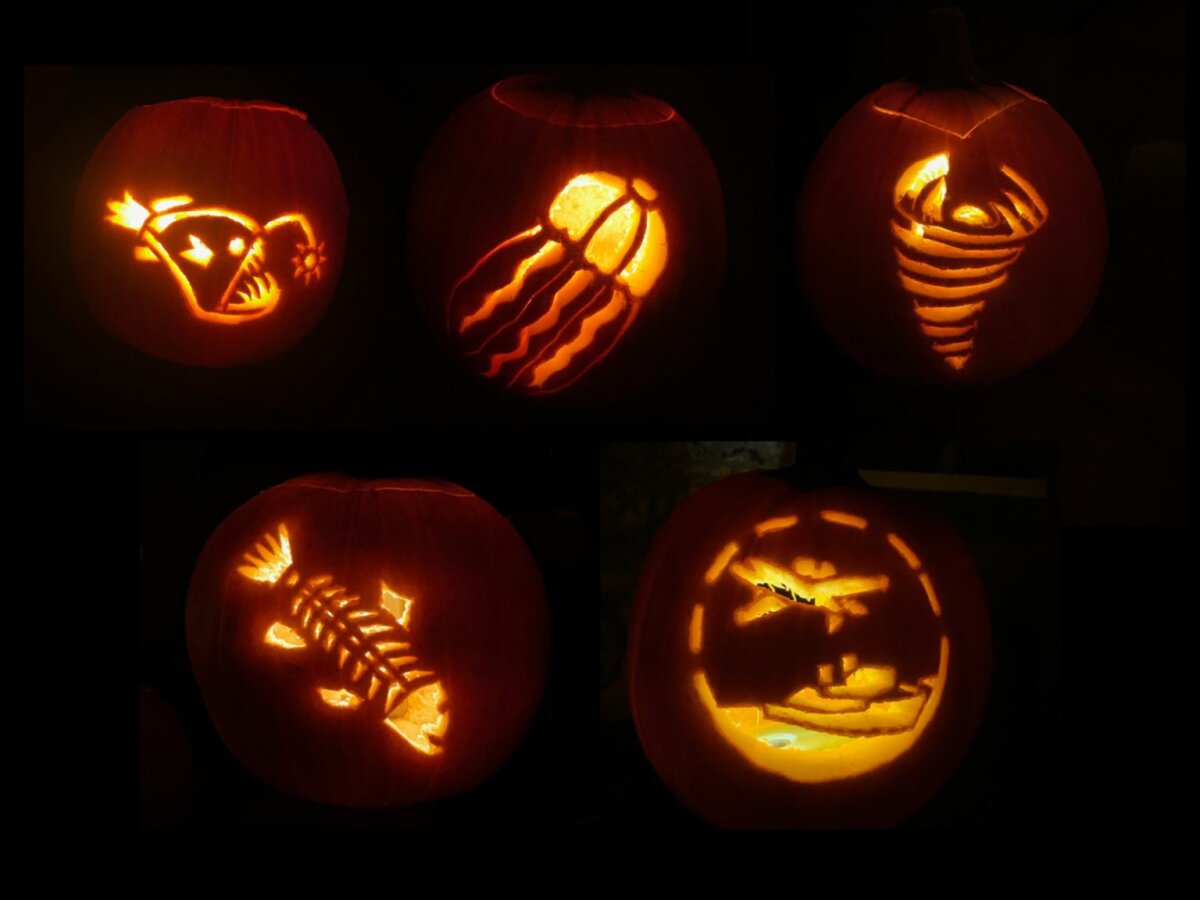 Five jack-o-lanterns with marine science designs.